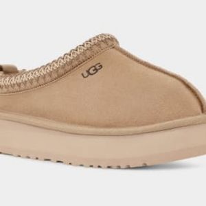 Ugg Tazz in Mustard Seed